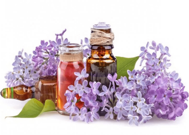 The infusion of lilacs